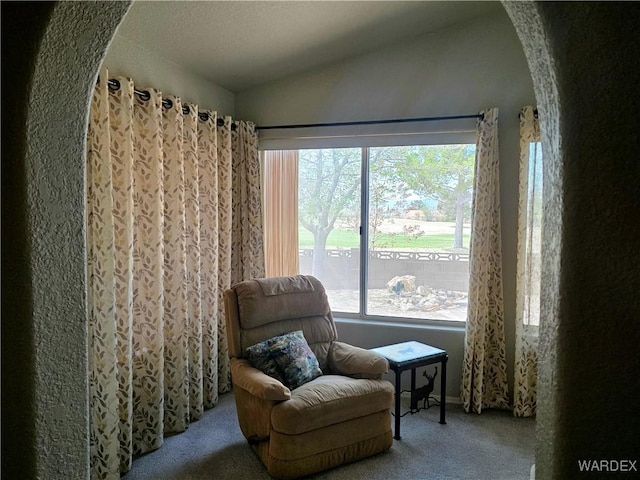 living area featuring arched walkways, carpet flooring, baseboards, and vaulted ceiling