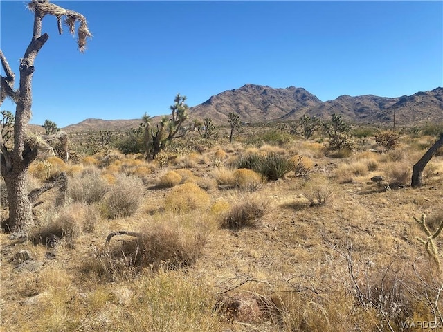 000 Palm Dr, Dolan Springs AZ, 86441 land for sale