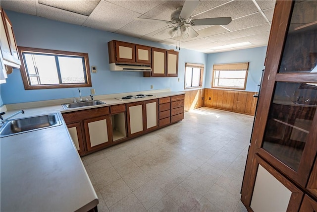 29366 N Mead Drive Dr, Meadview, AZ 86444 - photo 19