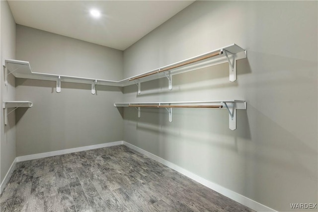 spacious closet featuring wood finished floors