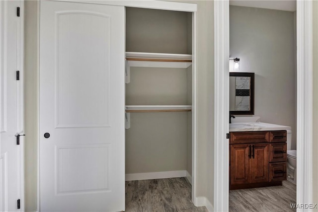 closet featuring a sink