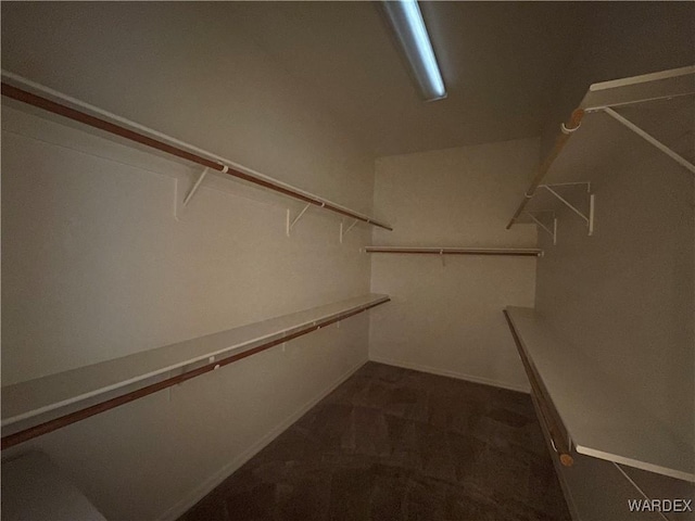 spacious closet with dark colored carpet