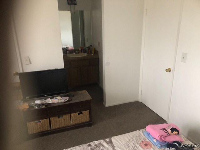 carpeted bedroom featuring a sink