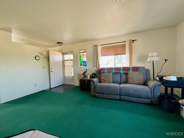 living area featuring carpet