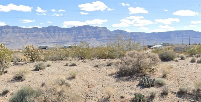 30320 N Bright Angel Dr, Meadview AZ, 86444 land for sale