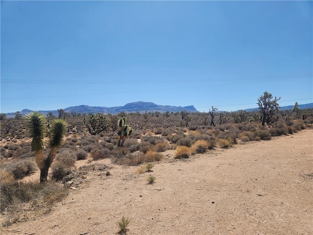 27195 N Sandy Point Dr, Meadview, AZ 86444 - photo 15