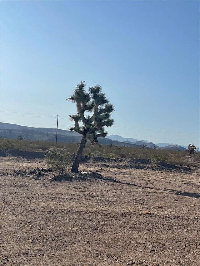 19529 N White Fox Dr, White Hills, AZ 86445 - photo 8