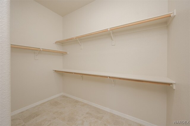 view of walk in closet