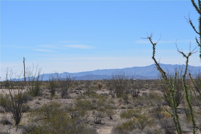 000 S Anegam Rd, Yucca AZ, 86438 land for sale