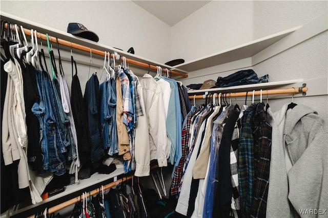 view of spacious closet