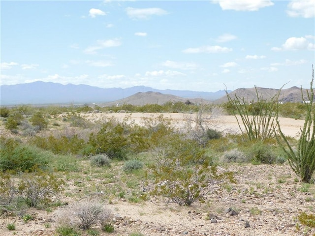 LOT182 S Apache Rd, Yucca, AZ 86438 - photo 2