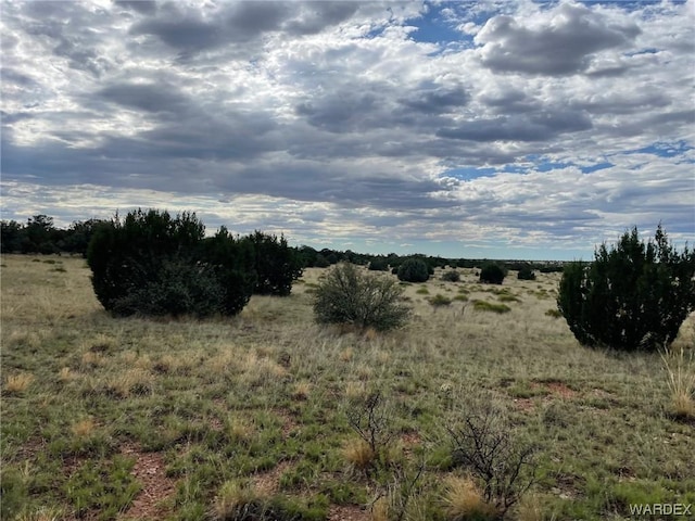 Listing photo 3 for 41665 W Antelope Run Rd, Seligman AZ 86337