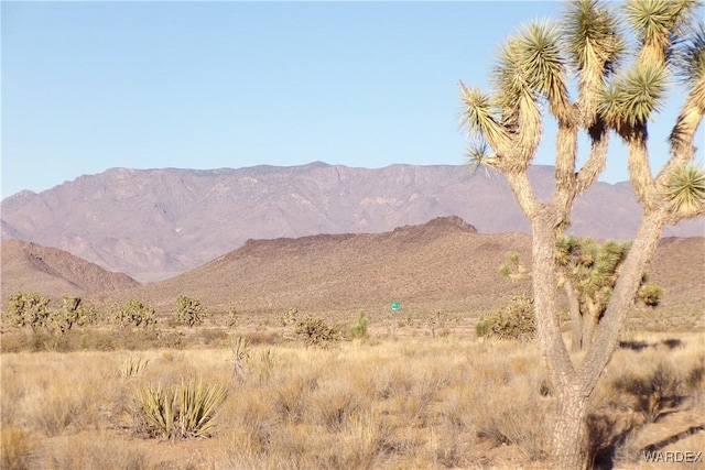 Listing photo 2 for LOT30 N Telegraph Dr, Dolan Springs AZ 86441