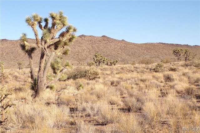 LOT30 N Telegraph Dr, Dolan Springs AZ, 86441 land for sale