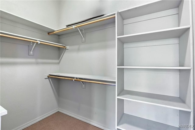 spacious closet featuring carpet floors