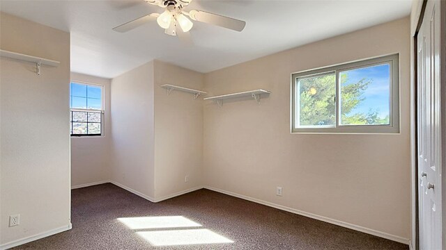 2905 S Surrey Loop, Kingman, AZ 86401 - photo 63