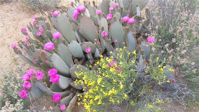 606B S Billy The Kid Rd, Yucca, AZ 86438