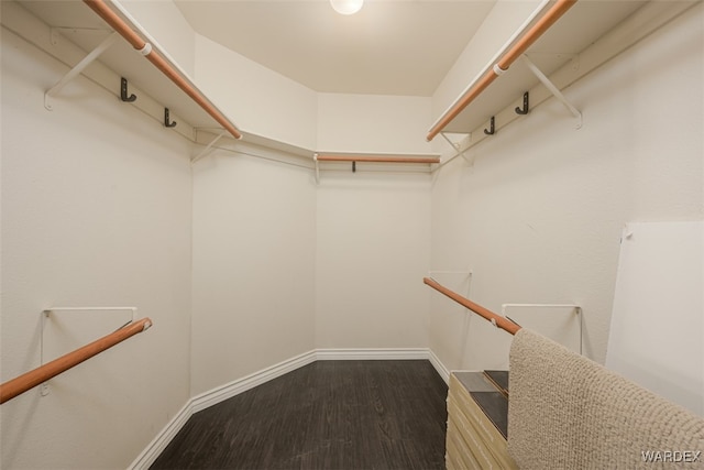 walk in closet with dark wood-style floors