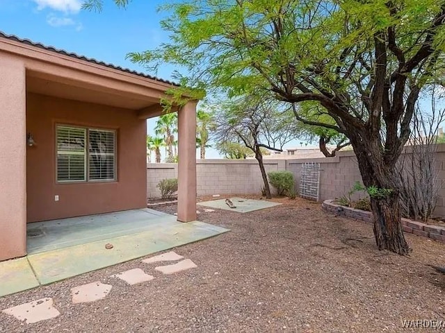 view of yard with a patio and a fenced backyard