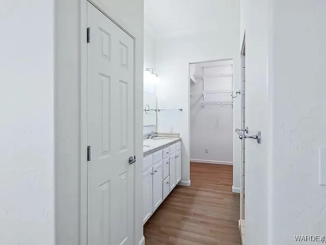 bathroom with vanity, wood finished floors, baseboards, and a closet