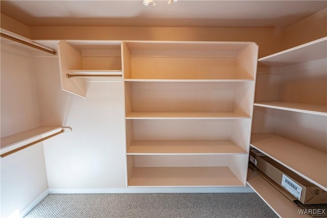 spacious closet featuring carpet flooring