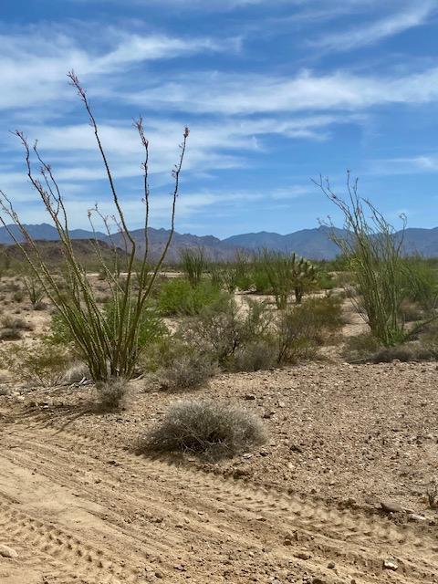 24519136A SW Rillito, Yucca, AZ 86438