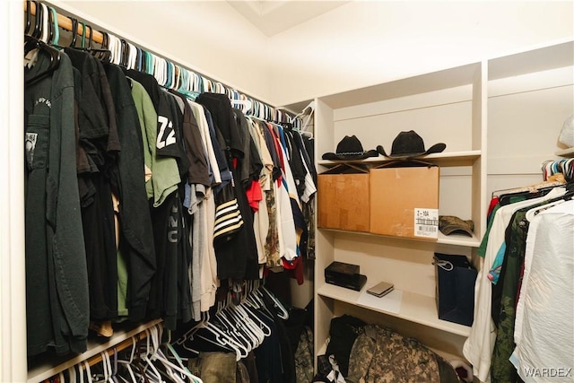 view of spacious closet