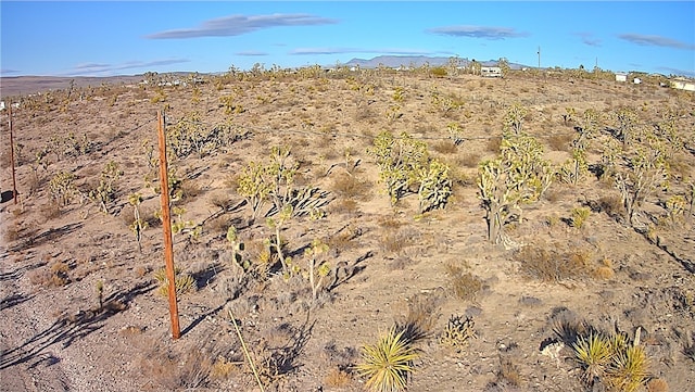 17096 N Manor Dr, Dolan Springs, AZ 86441