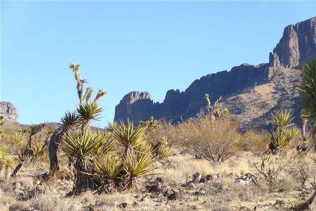 17096 N Manor Dr, Dolan Springs, AZ 86441
