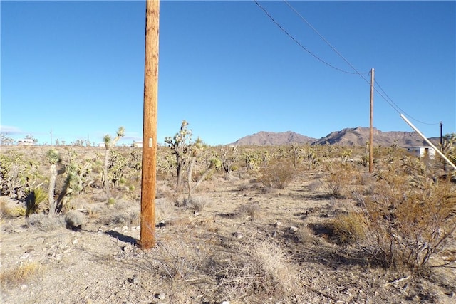 17096 N Manor Dr, Dolan Springs, AZ 86441