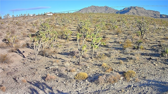 17096 N Manor Dr, Dolan Springs, AZ 86441