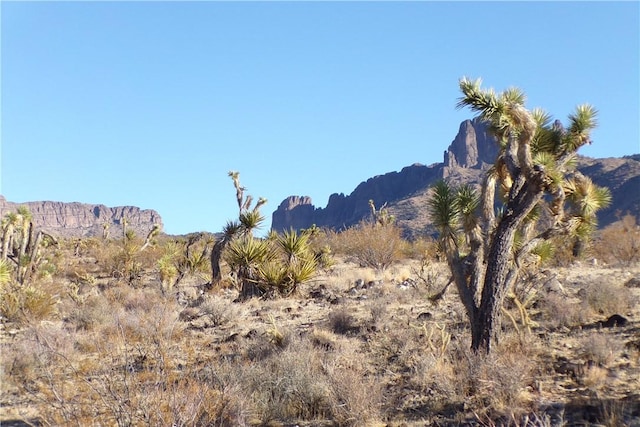 17096 N Manor Dr, Dolan Springs, AZ 86441