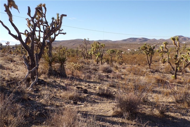 17096 N Manor Dr, Dolan Springs, AZ 86441
