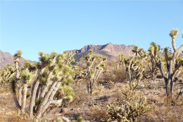 17096 N Manor Dr, Dolan Springs, AZ 86441