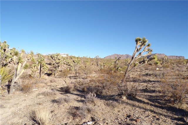 17096 N Manor Dr, Dolan Springs, AZ 86441