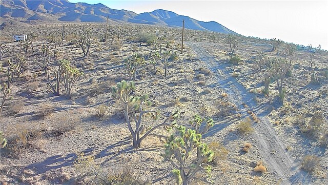 17096 N Manor Dr, Dolan Springs, AZ 86441