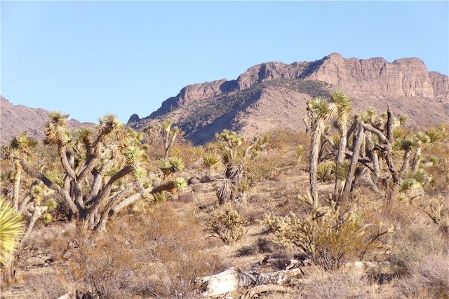 17096 N Manor Dr, Dolan Springs, AZ 86441