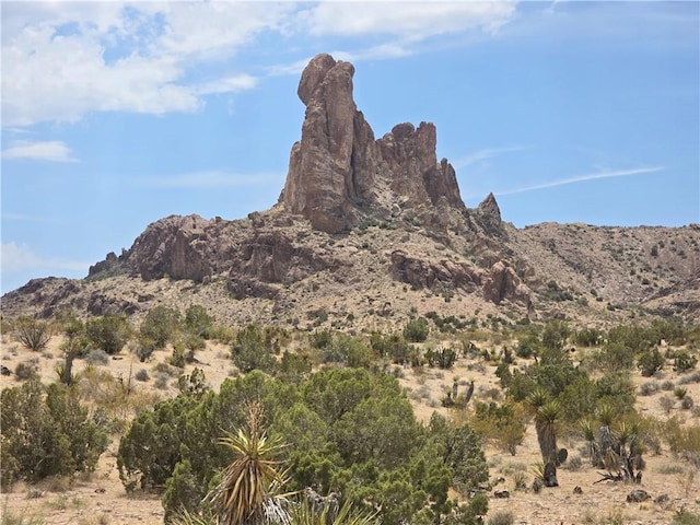 2161 S Dugas Rd, Golden Valley, AZ 86413 - photo 11