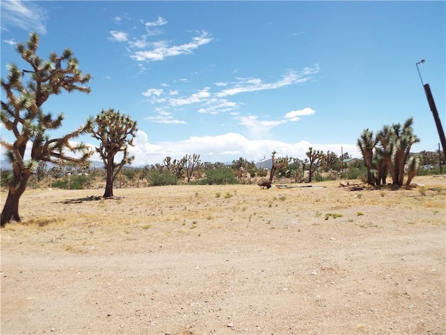 18677 N Remuda Dr, Dolan Springs, AZ 86441 - photo 18