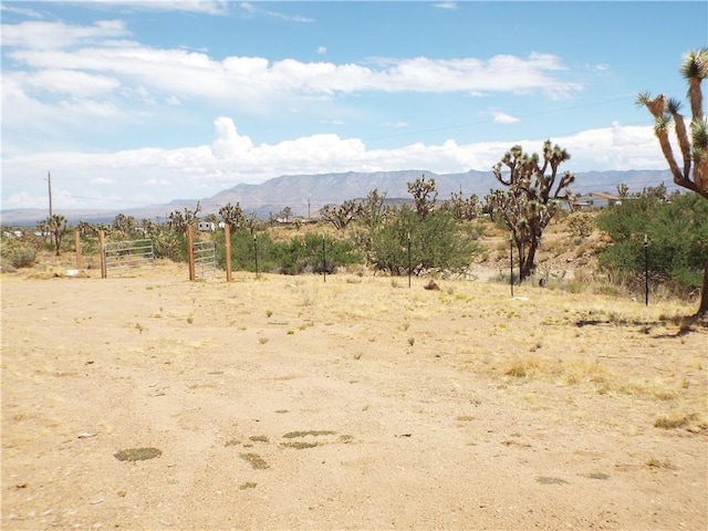 18677 N Remuda Dr, Dolan Springs, AZ 86441 - photo 25
