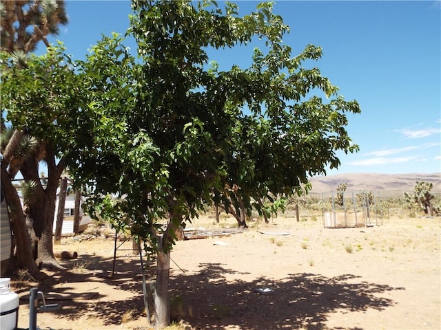 18677 N Remuda Dr, Dolan Springs, AZ 86441 - photo 13