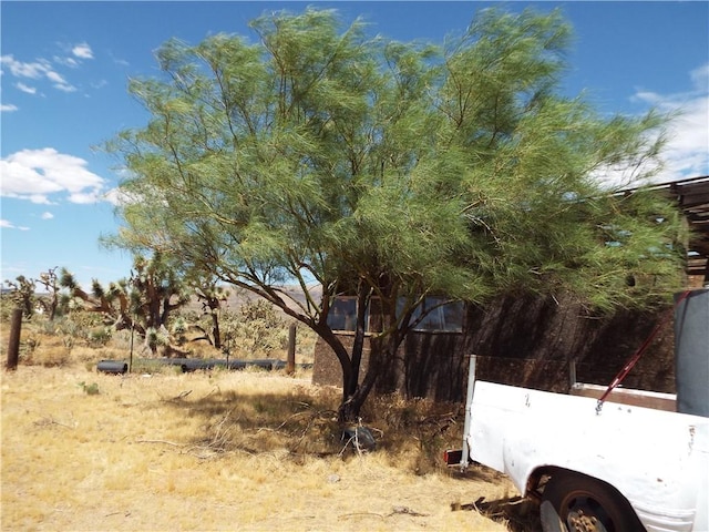 18677 N Remuda Dr, Dolan Springs, AZ 86441 - photo 20