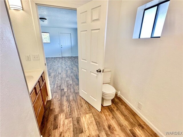 bathroom with plenty of natural light, vanity, baseboards, and wood finished floors