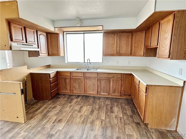 kitchen featuring under cabinet range hood, wood finished floors, a sink, light countertops, and brown cabinets