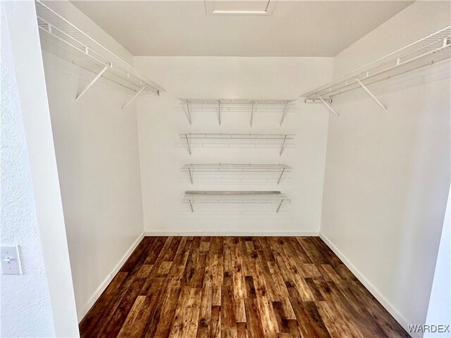 spacious closet featuring dark wood-type flooring