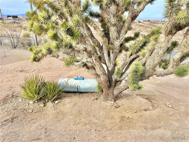 view of local wilderness