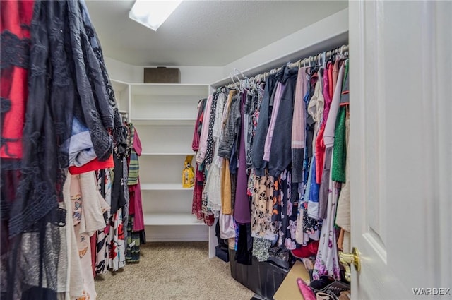 walk in closet featuring light colored carpet