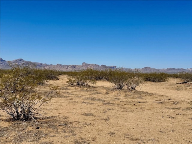 010E Mobile, Golden Valley, AZ 86413 - photo 1