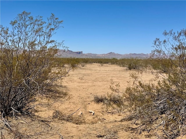 010E Mobile, Golden Valley, AZ 86413 - photo 2