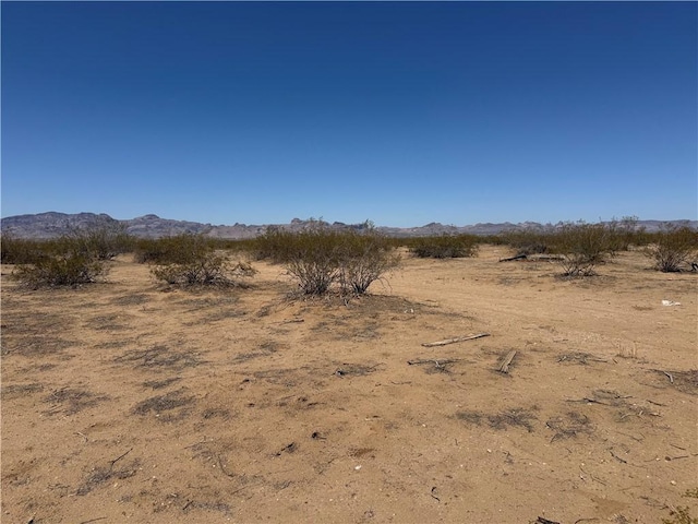 010E Mobile, Golden Valley, AZ 86413 - photo 3